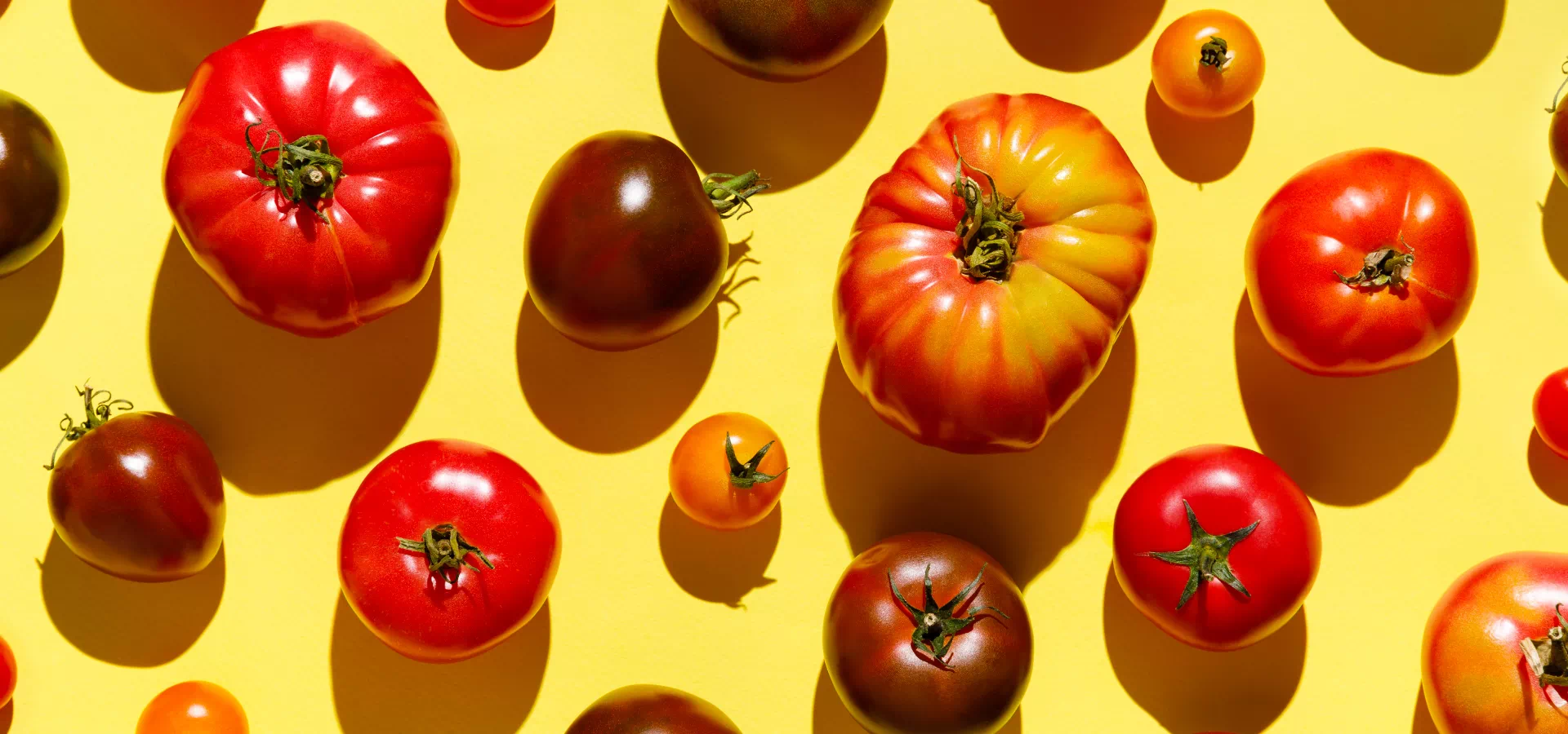 Rożne odmiany pomidorów